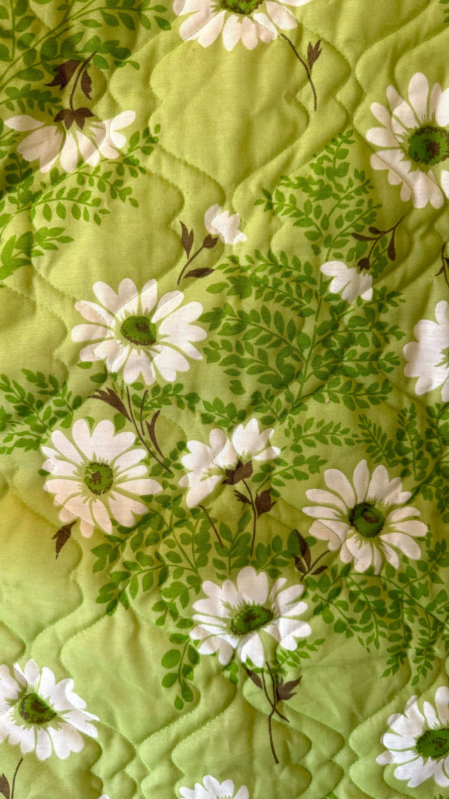 GREEN WITH ENVY COLLARED COAT (L/XL)
