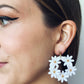 DAISY DREAMS