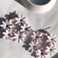 DAISY DREAMS
